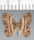  ( - CFC35105)  @11 [ ] copyright (2022) Center For Collection-Based Research Center For Collection-Based Research