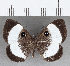  ( - CFC35114)  @11 [ ] Copyright (2020) Christer Fahraeus Center For Collection-Based Research