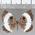  ( - CFC35270)  @11 [ ] Copyright (2020) Christer Fahraeus Center For Collection-Based Research