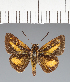  ( - CFC35395)  @11 [ ] copyright (2023) Center For Collection-Based Research Center For Collection-Based Research