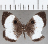  ( - CFC35407)  @11 [ ] Copyright (2020) Christer Fahraeus Center For Collection-Based Research