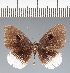  ( - CFC03544)  @11 [ ] copyright (2022) Center For Collection-Based Research Center For Collection-Based Research