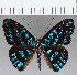  ( - CFC35458)  @11 [ ] Copyright (2020) Christer Fahraeus Center For Collection-Based Research