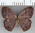  ( - CFC35474)  @11 [ ] Copyright (2020) Christer Fahraeus Center For Collection-Based Research