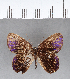  ( - CFC03551)  @11 [ ] Copyright (2018) Christer Fahraeus Center For Collection-Based Research