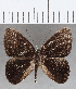  ( - CFC35543)  @11 [ ] Copyright (2020) Christer Fahraeus Center For Collection-Based Research