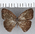  ( - CFC35595)  @11 [ ] Copyright (2020) Christer Fahraeus Center For Collection-Based Research