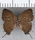  ( - CFC35620)  @11 [ ] Copyright (2020) Christer Fahraeus Center For Collection-Based Research