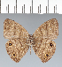  ( - CFC35621)  @11 [ ] copyright (2022) Center For Collection-Based Research Center For Collection-Based Research