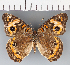  ( - CFC35667)  @11 [ ] copyright (2021) Center For Collection-Based Research Center For Collection-Based Research