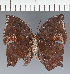  ( - CFC35675)  @11 [ ] copyright (2023) Center For Collection-Based Research Center For Collection-Based Research