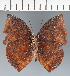  ( - CFC35678)  @11 [ ] copyright (2023) Center For Collection-Based Research Center For Collection-Based Research