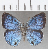  ( - CFC35732)  @11 [ ] copyright (2020) Christer Fahraeus Center For Collection-Based Research