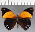  ( - CFC35751)  @11 [ ] copyright (2023) Center For Collection-Based Research Center For Collection-Based Research