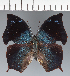  ( - CFC35801)  @11 [ ] copyright (2023) Center For Collection-Based Research Center For Collection-Based Research