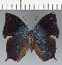  ( - CFC35804)  @11 [ ] copyright (2023) Center For Collection-Based Research Center For Collection-Based Research