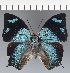  ( - CFC35805)  @11 [ ] copyright (2023) Center For Collection-Based Research Center For Collection-Based Research