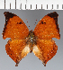  ( - CFC35806)  @11 [ ] copyright (2023) Center For Collection-Based Research Center For Collection-Based Research