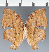  ( - CFC35827)  @11 [ ] copyright (2023) Center For Collection-Based Research Center For Collection-Based Research