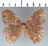  ( - CFC35835)  @11 [ ] copyright (2022) Center For Collection-Based Research Center For Collection-Based Research