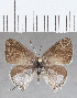  ( - CFC35876)  @11 [ ] Copyright (2020) Christer Fahraeus Center For Collection-Based Research