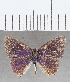  ( - CFC35885)  @11 [ ] Copyright (2020) Christer Fahraeus Center For Collection-Based Research
