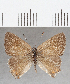  ( - CFC35889)  @11 [ ] Copyright (2020) Christer Fahraeus Center For Collection-Based Research