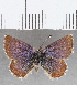  ( - CFC35909)  @11 [ ] copyright (2020) Christer Fahraeus Center For Collection-Based Research