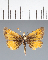  ( - CFC35913)  @11 [ ] copyright (2023) Center For Collection-Based Research Center For Collection-Based Research