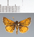  ( - CFC35914)  @11 [ ] copyright (2023) Center For Collection-Based Research Center For Collection-Based Research