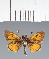  ( - CFC35915)  @11 [ ] copyright (2023) Center For Collection-Based Research Center For Collection-Based Research