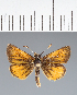  ( - CFC35916)  @11 [ ] copyright (2023) Center For Collection-Based Research Center For Collection-Based Research