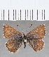  ( - CFC35919)  @11 [ ] copyright (2020) Christer Fahraeus Center For Collection-Based Research
