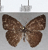  ( - CFC36137)  @11 [ ] Copyright (2020) Christer Fahraeus Center For Collection-Based Research