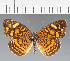  ( - CFC36166)  @11 [ ] copyright (2023) Center For Collection-Based Research Center For Collection-Based Research