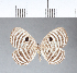  ( - CFC03634_2)  @11 [ ] Copyright (2019) Christer Fahraeus Center For Collection-Based Research