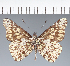  ( - CFC36540)  @11 [ ] copyright (2023) Center For Collection-Based Research Center For Collection-Based Research