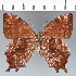  ( - CFC36844)  @11 [ ] copyright (2022) Center For Collection-Based Research Center For Collection-Based Research