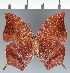  ( - CFC36855)  @11 [ ] copyright (2023) Center For Collection-Based Research Center For Collection-Based Research