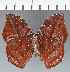  ( - CFC36974)  @11 [ ] copyright (2023) Center For Collection-Based Research Center For Collection-Based Research