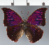  ( - CFC37018)  @11 [ ] copyright (2023) Center For Collection-Based Research Center For Collection-Based Research