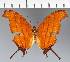  ( - CFC37056)  @11 [ ] copyright (2023) Center For Collection-Based Research Center For Collection-Based Research