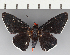  ( - CFC37215)  @11 [ ] copyright (2021) Center For Collection-Based Research Center For Collection-Based Research