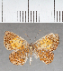  ( - CFC37353)  @11 [ ] copyright (2021) Center For Collection-Based Research Center For Collection-Based Research