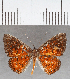  ( - CFC37418)  @11 [ ] copyright (2021) Center For Collection-Based Research Center For Collection-Based Research