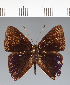  ( - CFC37517)  @11 [ ] copyright (2022) Center For Collection-Based Research Center For Collection-Based Research