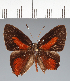  ( - CFC37562)  @11 [ ] copyright (2022) Center For Collection-Based Research Center For Collection-Based Research