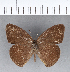  ( - CFC03774)  @11 [ ] Copyright (2018) Christer Fahraeus Center For Collection-Based Research