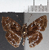  ( - CFC37753)  @11 [ ] copyright (2021) Center For Collection-Based Research Center For Collection-Based Research