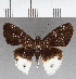  ( - CFC37847)  @11 [ ] copyright (2021) Center For Collection-Based Research Center For Collection-Based Research